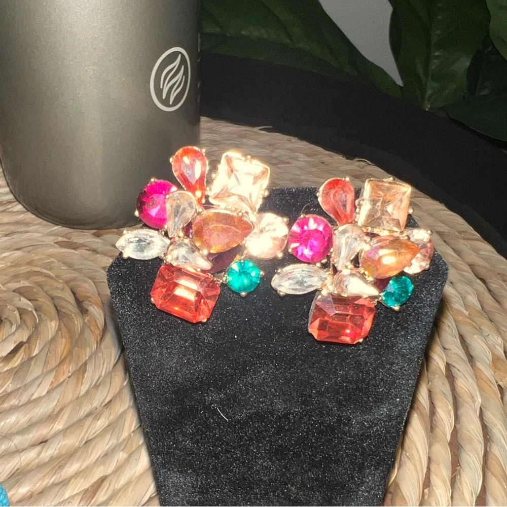 Earrings multi color